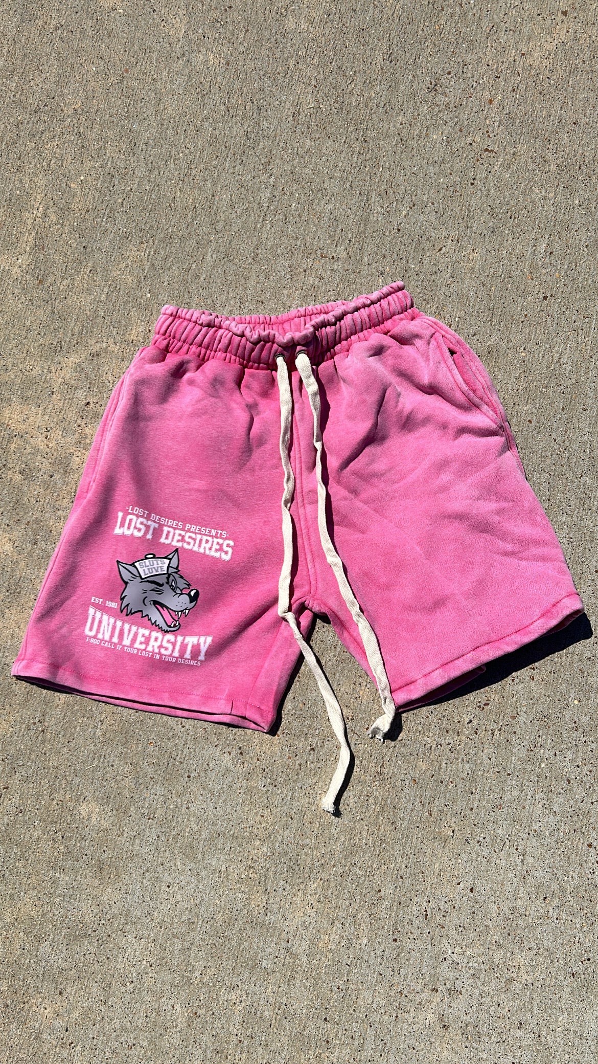 University Shorts